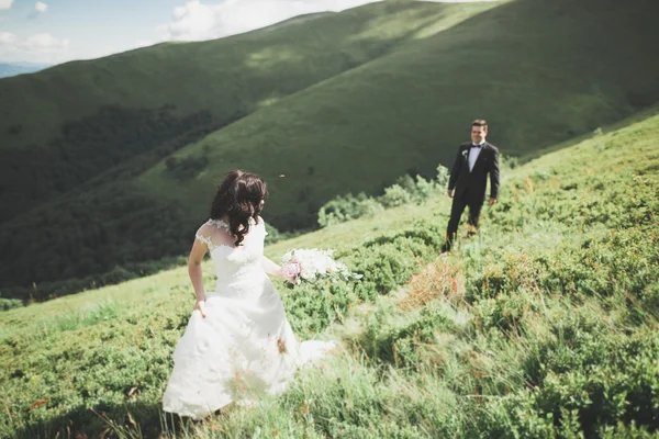 Casal de casamento beijando ficar sobre bela paisagem — Fotografia de Stock