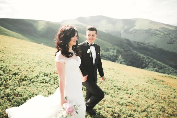 若い新婚カップル,花嫁と新郎キス,山の完璧なビューに抱擁,青空 — ストック写真