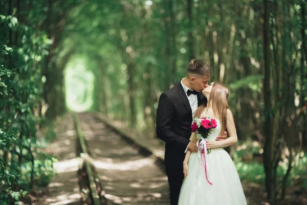 Luxus elegáns fiatal menyasszony és a vőlegény, a háttérben a tavaszi, napsütéses, zöld erdőben — Stock Fotó