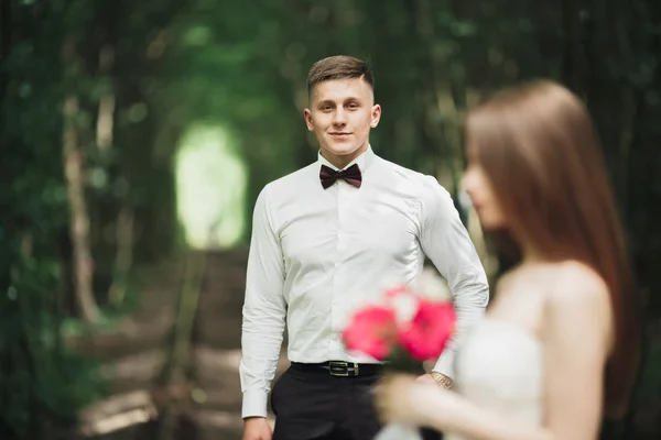 Lindo noivo sorridente. Homem bonito em uma suíte — Fotografia de Stock