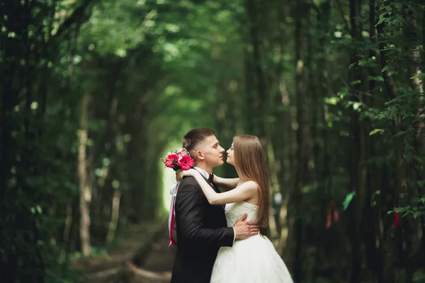 Beijo apaixonado de recém-casados em algum lugar que estavam no parque no pôr do sol — Fotografia de Stock