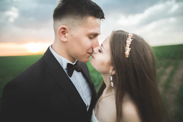 Boda, hermosa novia romántica y novio besándose abrazándose al atardecer —  Fotos de Stock