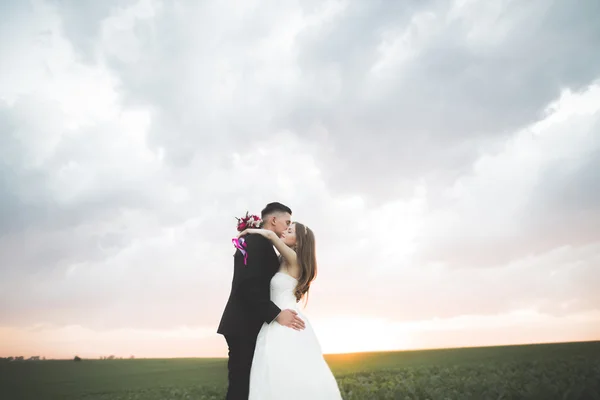 Όμορφο γαμήλιο ζεύγος, αγάπη για το ηλιοβασίλεμα. Fielf με λουλούδια — Φωτογραφία Αρχείου