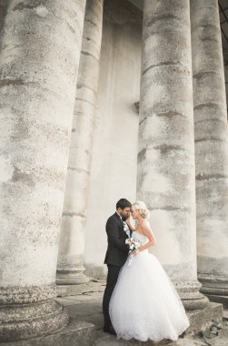 Güzel, romantik bir düğün. Yeni evliler. Eski kalenin yakınlarında sarılıyorlar.