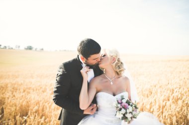 Güzel düğün çift, gelin ve damat buğday alan mavi gökyüzü ile poz