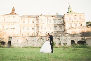 Şehvetli evli çift, eski Slav kalesinin önünde sevgililer günü kucaklaşması.