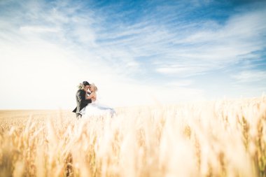 Güzel düğün çift, gelin ve damat buğday alan mavi gökyüzü ile poz