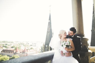 Muhteşem bir düğün çifti eski Lviv şehrinde yürüyor.