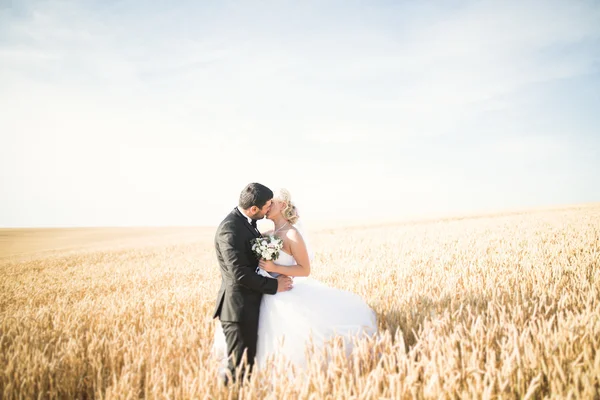 Beau couple dans le champ, Amoureux ou jeunes mariés posant avec un ciel bleu parfait — Photo