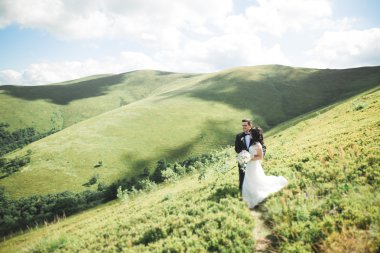 Öpüşen düğün çifti güzel manzarada kalıyor.
