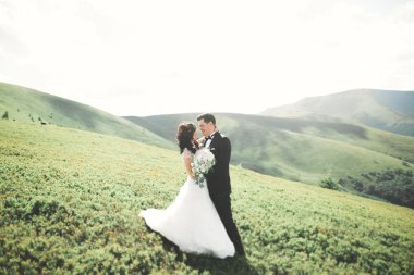 Harika bir gelin damada poz veriyor ve harika manzaralı dağlarda lüks bir tören yapıyor.