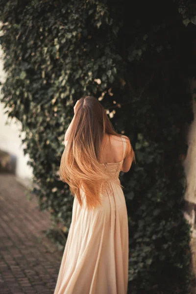Menina bonita com cabelos longos posando perto da árvore em vavel Cracóvia — Fotografia de Stock