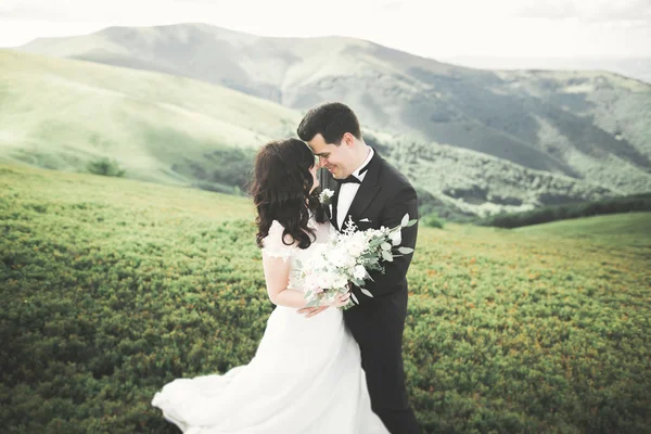 Casal de casamento lindo beijando e abraçando perto da montanha com vista perfeita — Fotografia de Stock