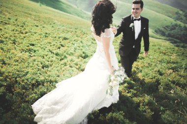 Yeni evli çift, gelin ve damat öpüşüyor, mükemmel dağ manzarasında sarılıyorlar, mavi gökyüzü