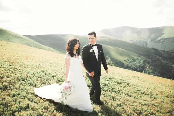 Líbání svatební pár pobyt nad krásnou krajinou — Stock fotografie