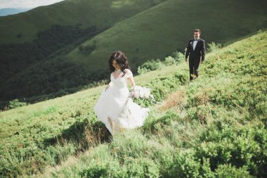 Güzel düğün çift, gelin ve damat, arka planda dağların aşık