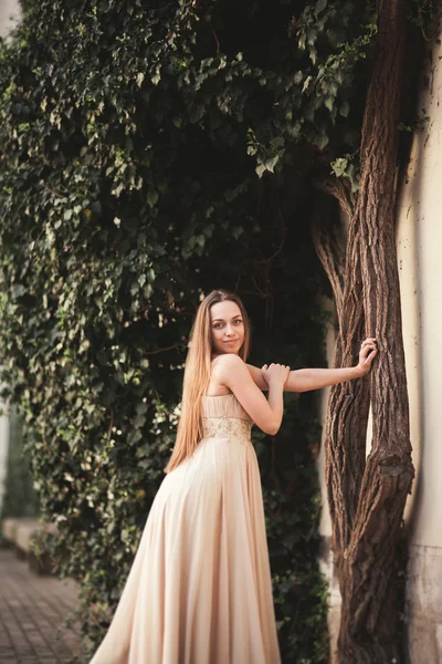 Menina bonita com cabelos longos posando perto da árvore em vavel Cracóvia — Fotografia de Stock