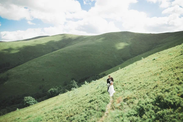 Besos boda pareja estancia sobre hermoso paisaje —  Fotos de Stock