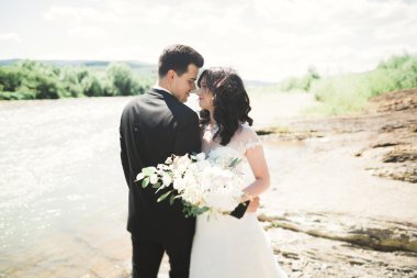 şık şık mutlu esmer gelin ve dağlarda güzel bir şelale arka plan üzerinde muhteşem damat