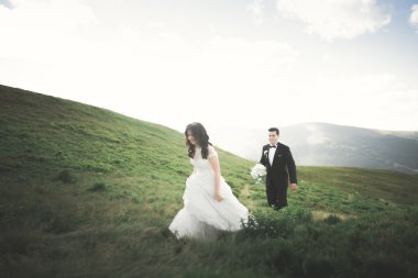 Muhteşem gelin ve şık damat yürüyüş güneşli manzara, Düğün çifti, lüks töreni dağların muhteşem manzaralı, metin için yer