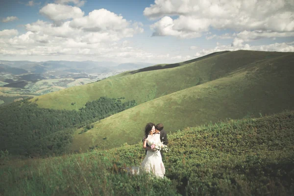 Όμορφη υπέροχη ευτυχισμένη νύφη και κομψό γαμπρό ποζάρουν στο φόντο της ηλιόλουστη εκπληκτική βουνά — Φωτογραφία Αρχείου