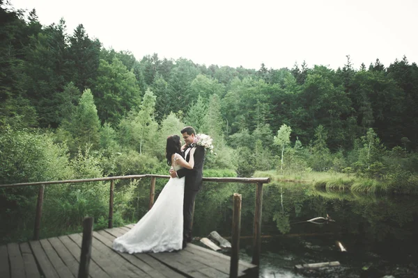 Charmig brud, eleganta brudgummen på landskap av berg och solnedgången vid sjön. Underbara bröllop par — Stockfoto