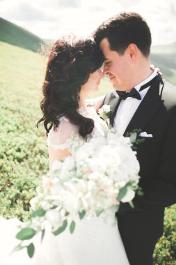 Güzel düğün çift, gelin ve damat, arka planda dağların aşık