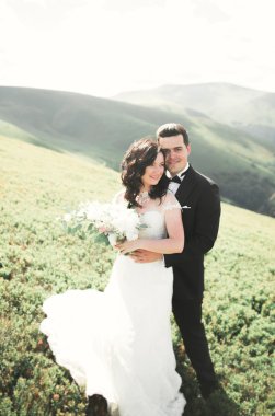 Güzel, mutlu gelin ve şık damat güneşli, çarpıcı dağların arka planında poz veriyor.