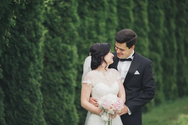 Güzel romantik bir çift yeni evliler gün batımında parkta sarılıyorlar. — Stok fotoğraf