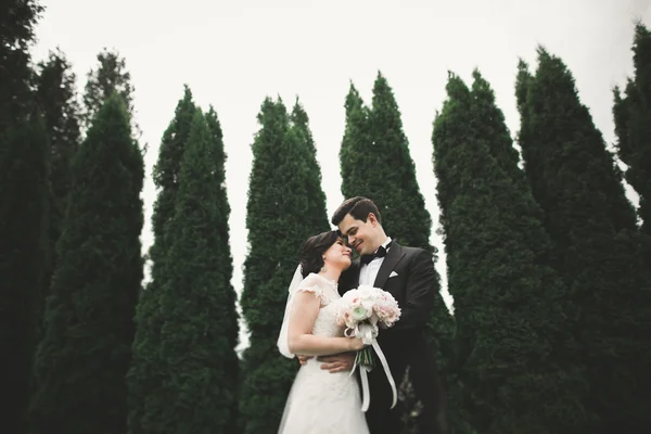 Romántico, cuento de hadas, feliz pareja recién casada abrazándose y besándose en un parque, árboles en el fondo —  Fotos de Stock