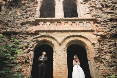 Mutlu yeni evliler yürüyüşte antik castle yakınındaki oteller
