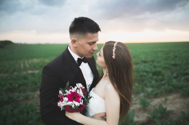 Alanına, aşık veya yeni evli mükemmel gökyüzü günbatımı poz güzel Çift