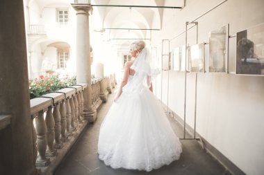 Güzel bir sarışın romantik portresi. Fotoğraf güneşli parlak renkler