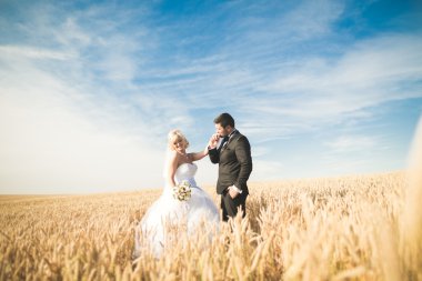 Güzel düğün çift, gelin ve damat buğday alan mavi gökyüzü ile poz