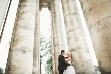 Mutlu düğün kaç sarılma ve öpüşme üzerinde arka plan eski kale