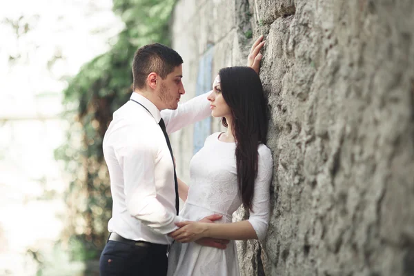 Lindo recém-casado posando perto de bela parede de plantas arbustos árvores em seu dia do casamento — Fotografia de Stock