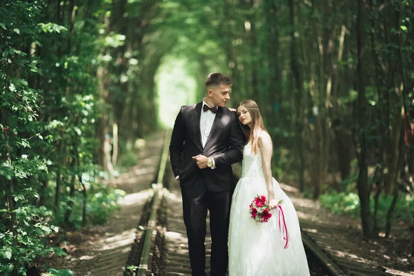 Romantische jonggehuwde paar zoenen in dennenbos — Stockfoto