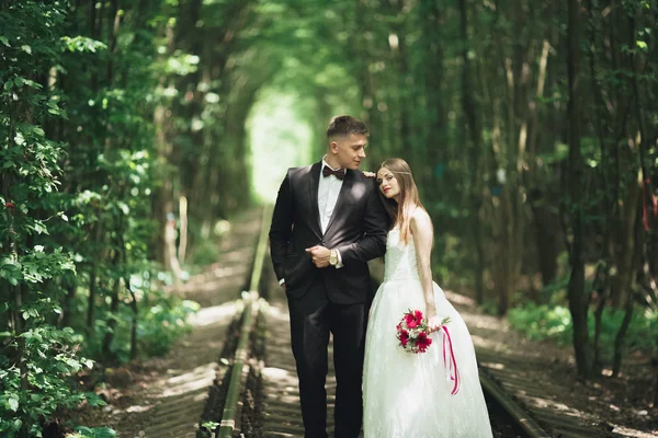 Casal recém-casado romântico beijando na floresta de pinheiros — Fotografia de Stock