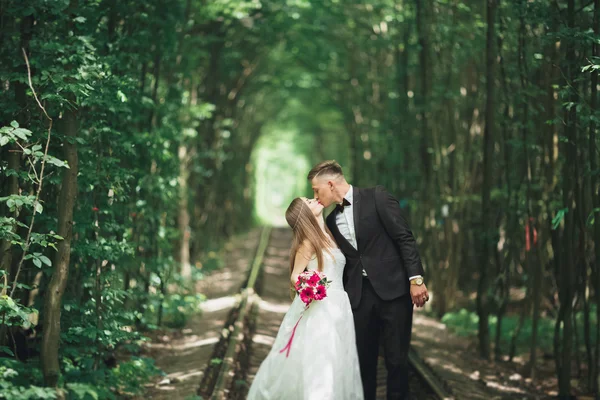 행복 한 웨딩 커플 매력적인 신랑 및 공원에서 포즈 완벽 한 신부 — 스톡 사진