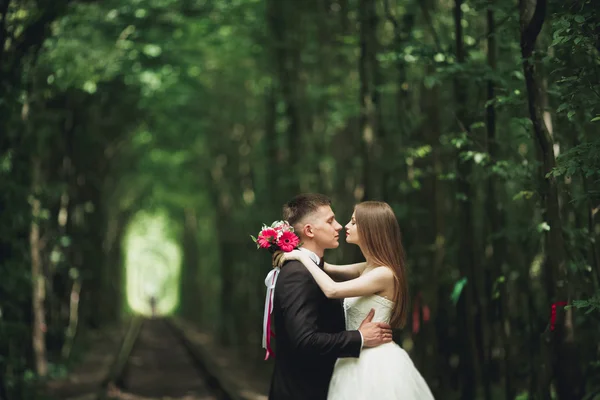 Casal recém-casado romântico beijando na floresta de pinheiros — Fotografia de Stock