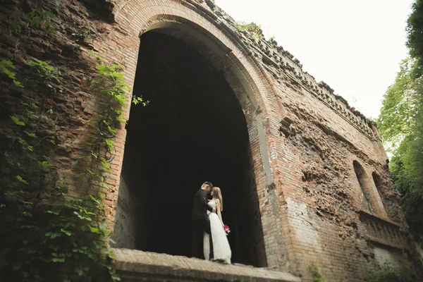 Just married poses and kissing with an old fortress on the background — Stock Photo, Image