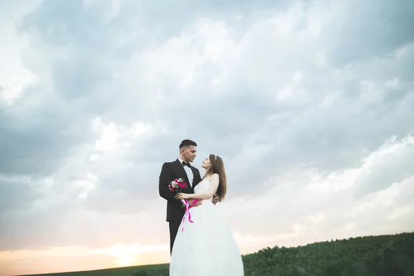 Schönes Paar junge Braut und Bräutigam auf Sonnenuntergang Hintergrund. schöner Himmel — Stockfoto