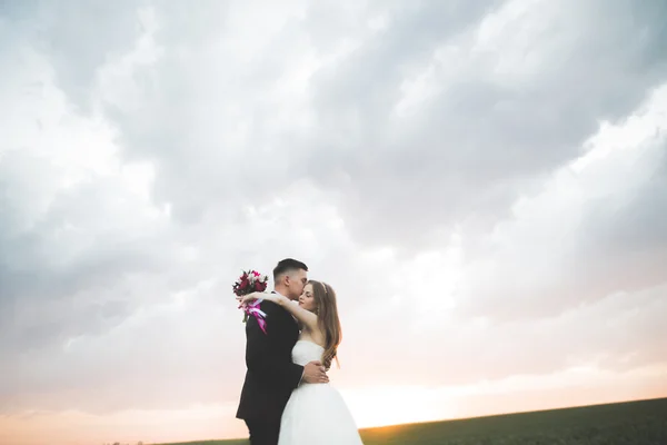 Schönes Hochzeitspaar, Liebe im Sonnenuntergang. Feld mit Blumen — Stockfoto