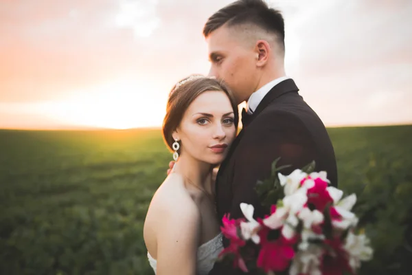 Vackra bröllopsparet, kärlek på solnedgången. Fielf med blommor — Stockfoto