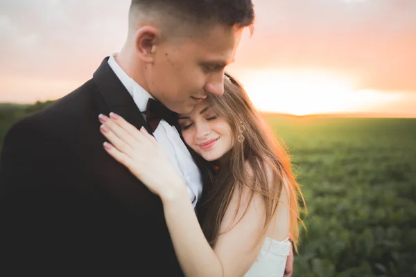 Hermosa pareja de boda, novia y novio posando en el campo durante la puesta del sol —  Fotos de Stock