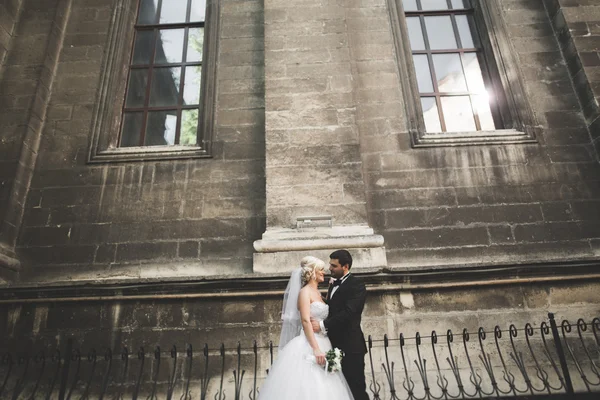 Lusso coppia di matrimoni sposati, sposa e sposo posa nella città vecchia — Foto Stock