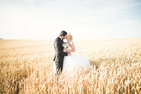 Hermosa pareja en el campo, Amantes o recién casados posando con el cielo azul perfecto —  Fotos de Stock