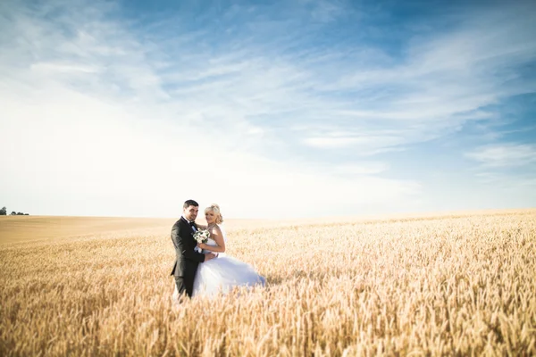 Şık şık mutlu sarışın gelin ve muhteşem damat buğday alan arka plan mavi gökyüzüne üzerinde poz — Stok fotoğraf