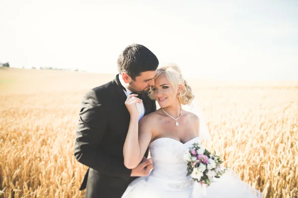 Elegante elegante novia rubia feliz y magnífico novio posando en el campo de trigo en el cielo azul de fondo — Foto de Stock