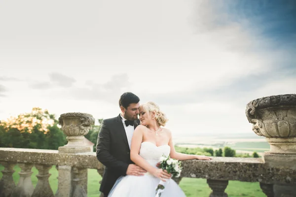 Feliz boda pareja abrazos y besos en el fondo viejo castillo —  Fotos de Stock